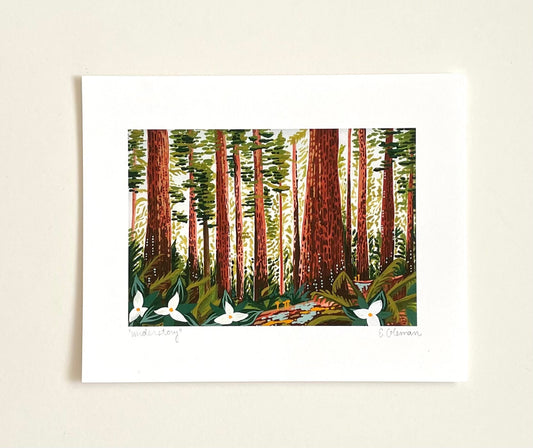 Redwood Understory Art Print