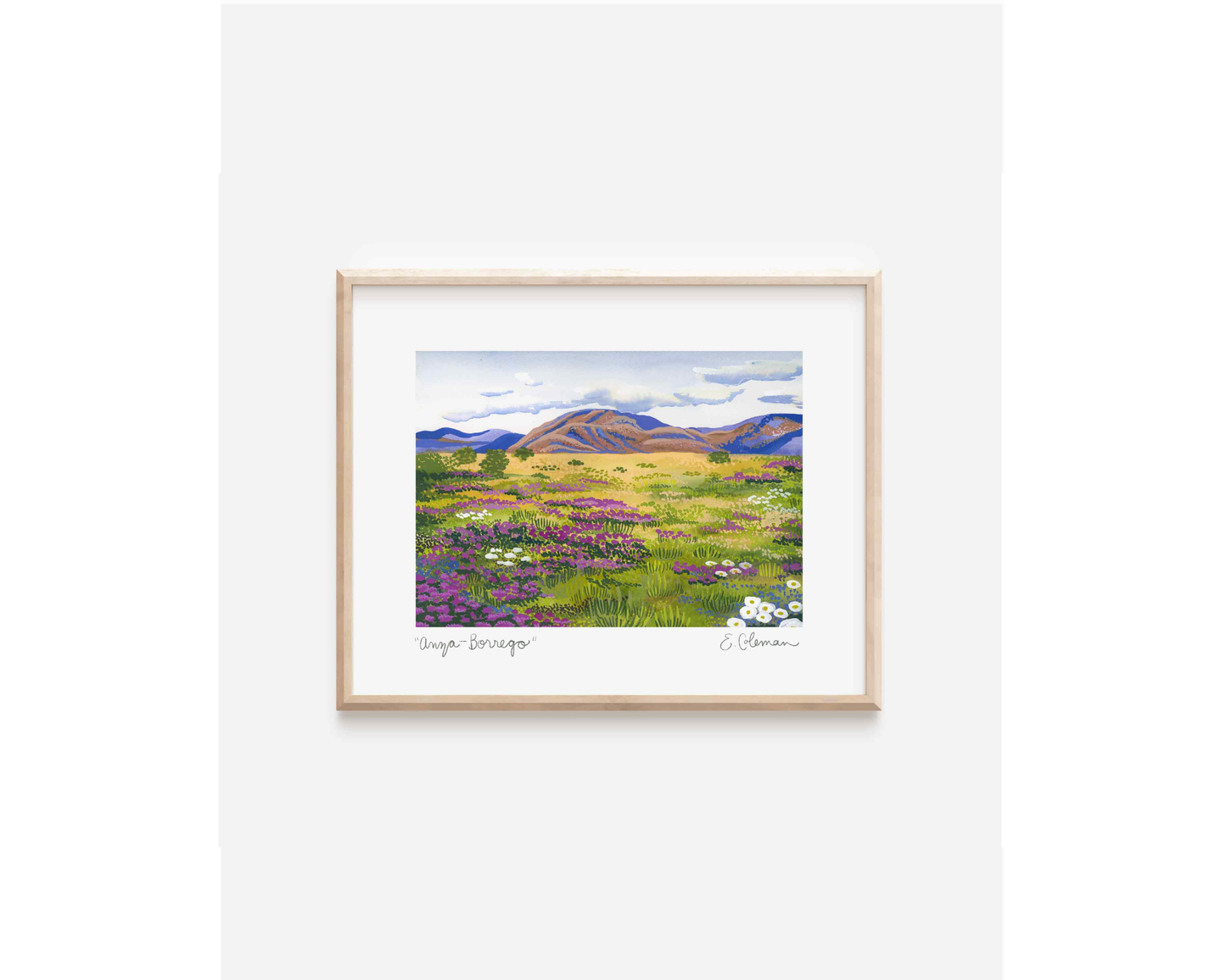 Anza- Borrego Desert Print