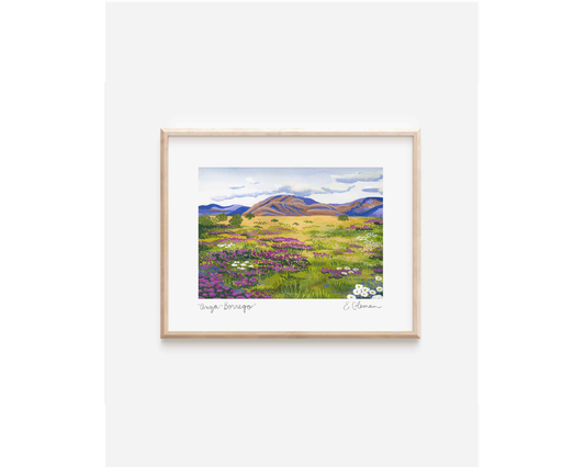 Anza- Borrego Desert Print