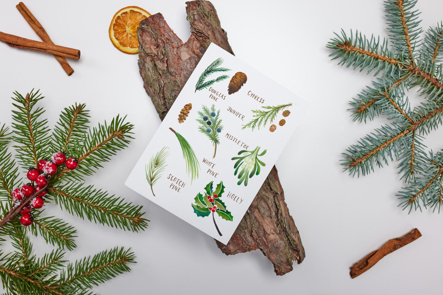 Holiday Botanicals Card