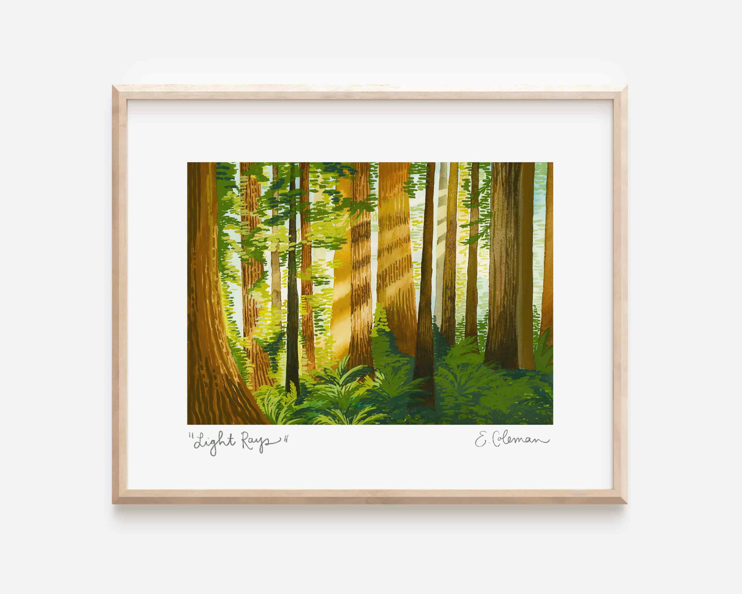 Light Rays in the Redwoods Print