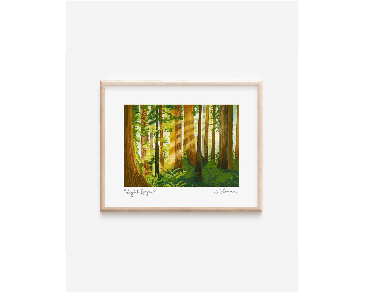 Light Rays in the Redwoods Print