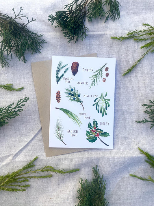 Holiday Botanicals Card