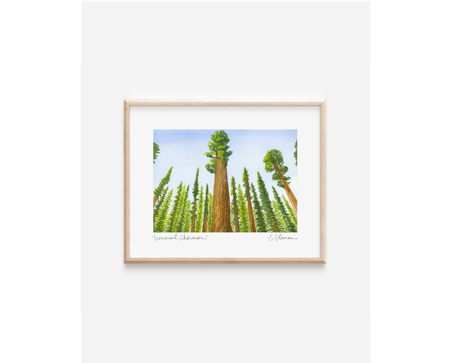 General Sherman Giant Sequoia Print