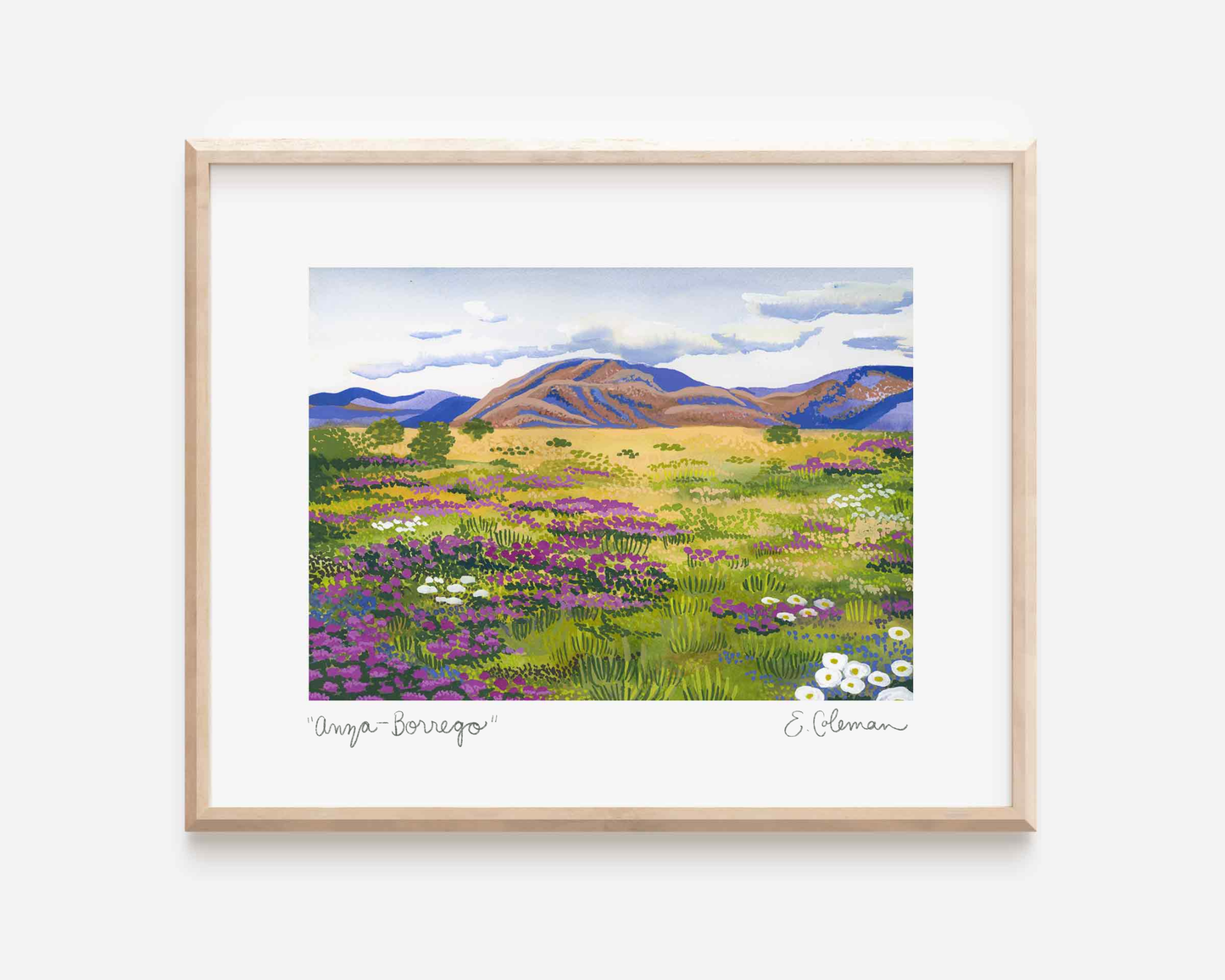 Anza- Borrego Desert Print