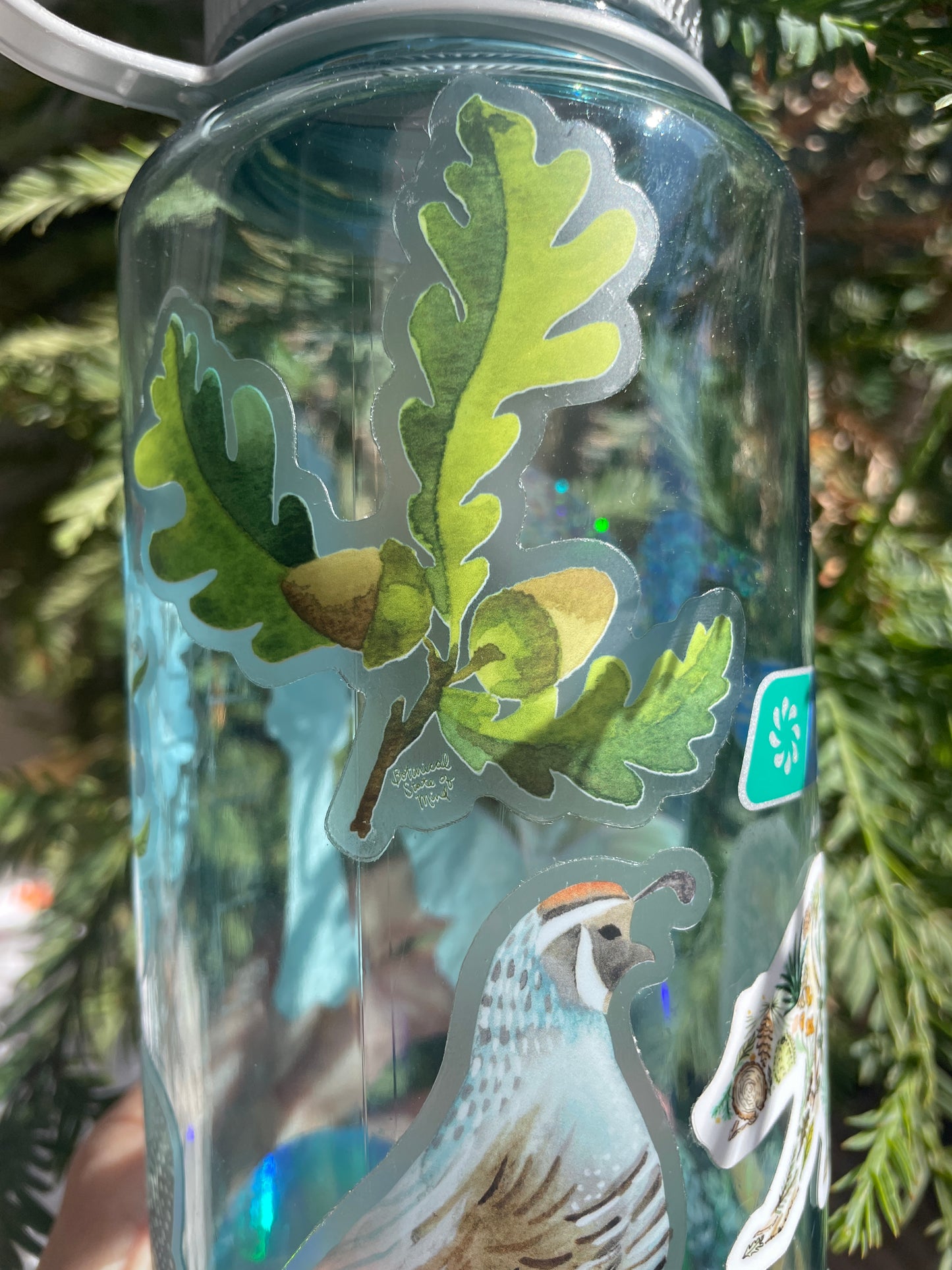 Oak Leaf and Acorn Sticker