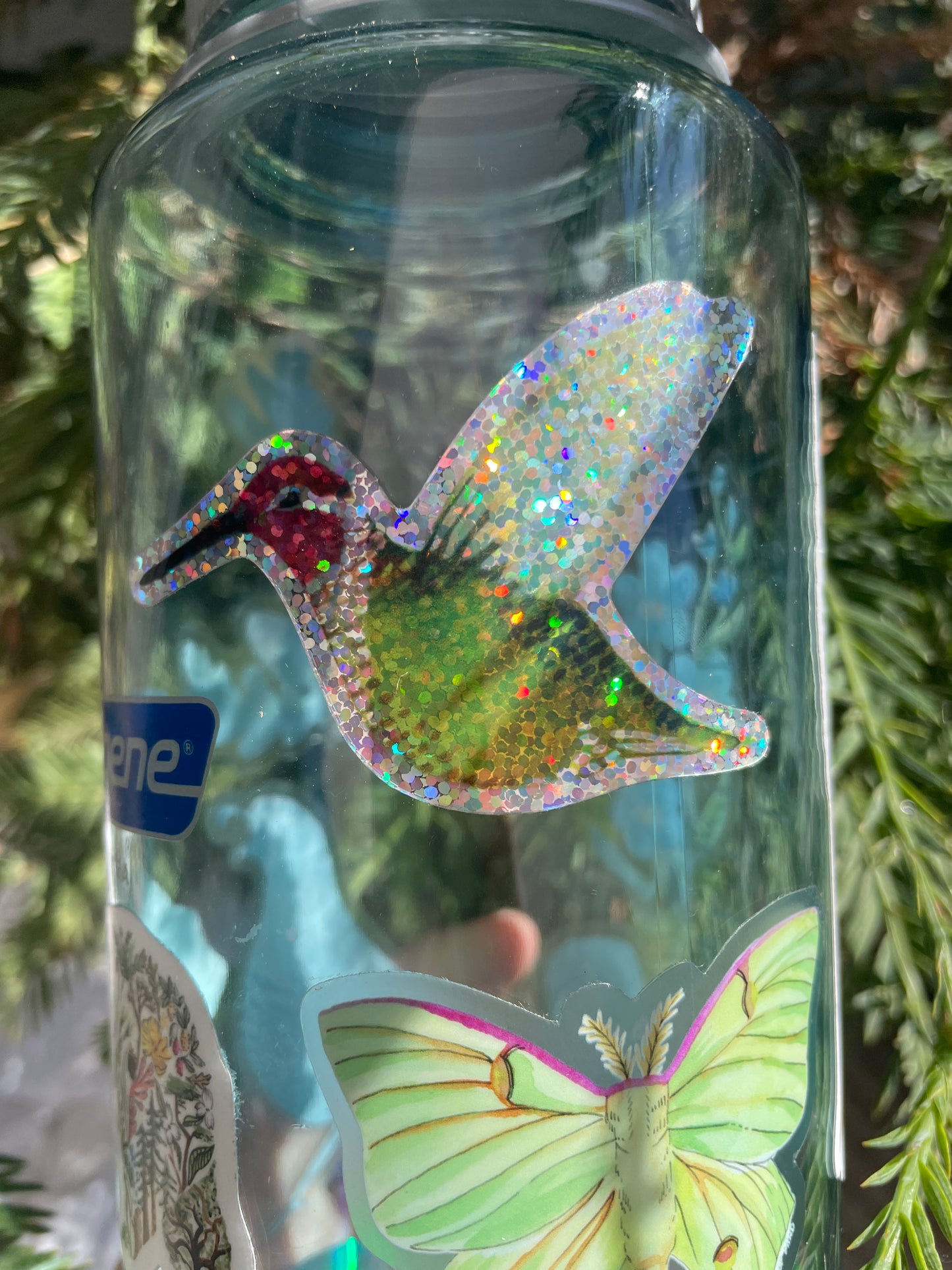Hummingbird Sticker