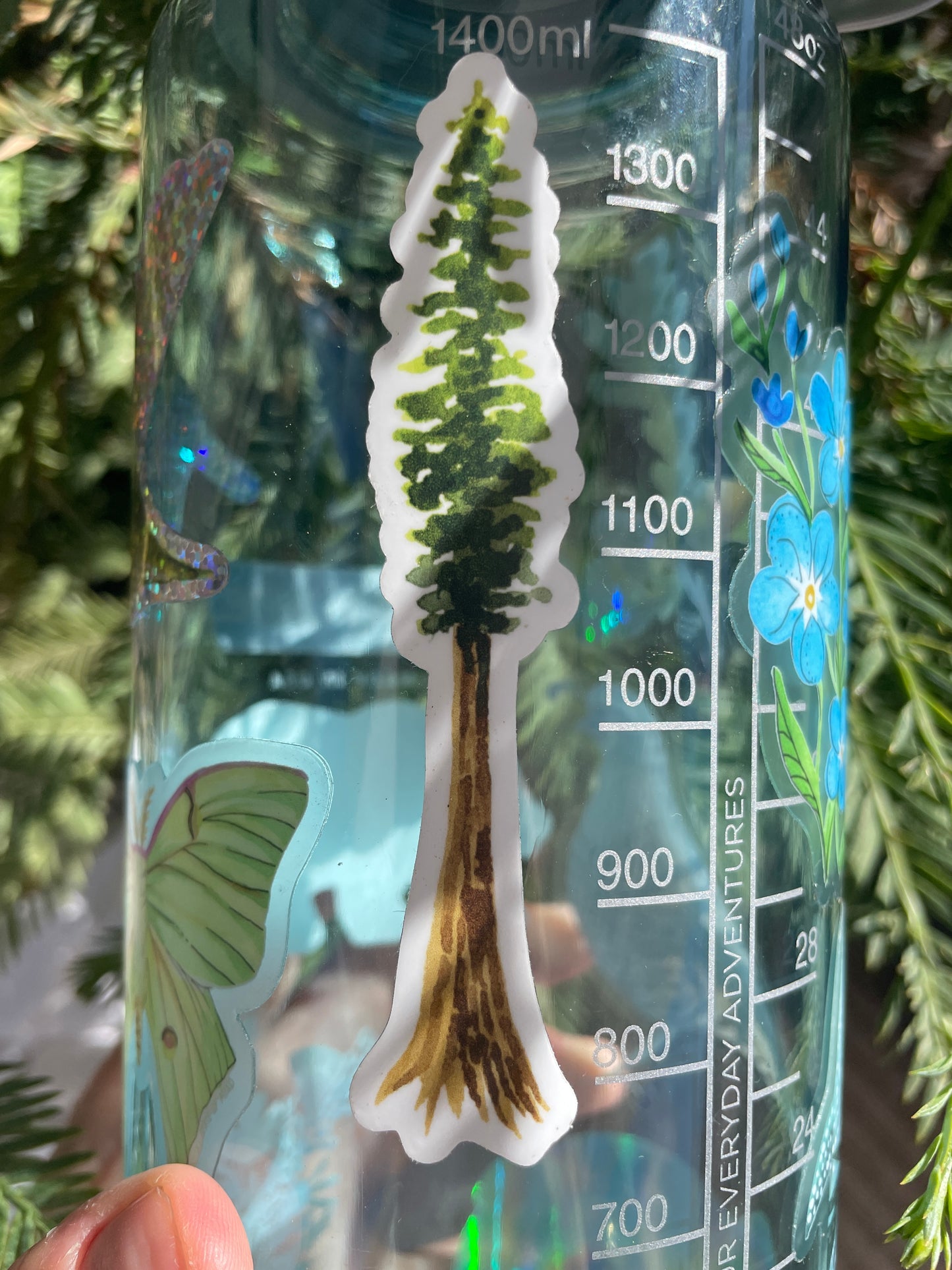 Redwood Tree Sticker