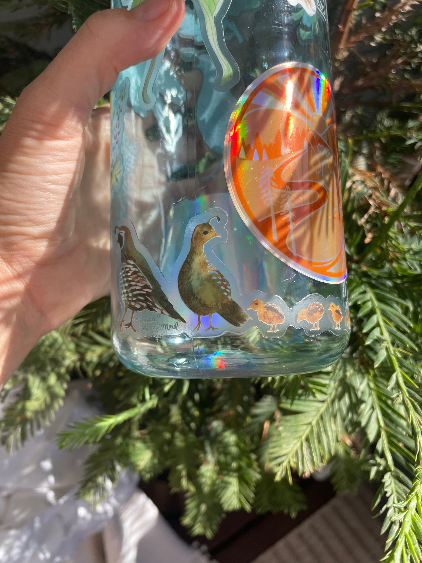 Quail Family Sticker