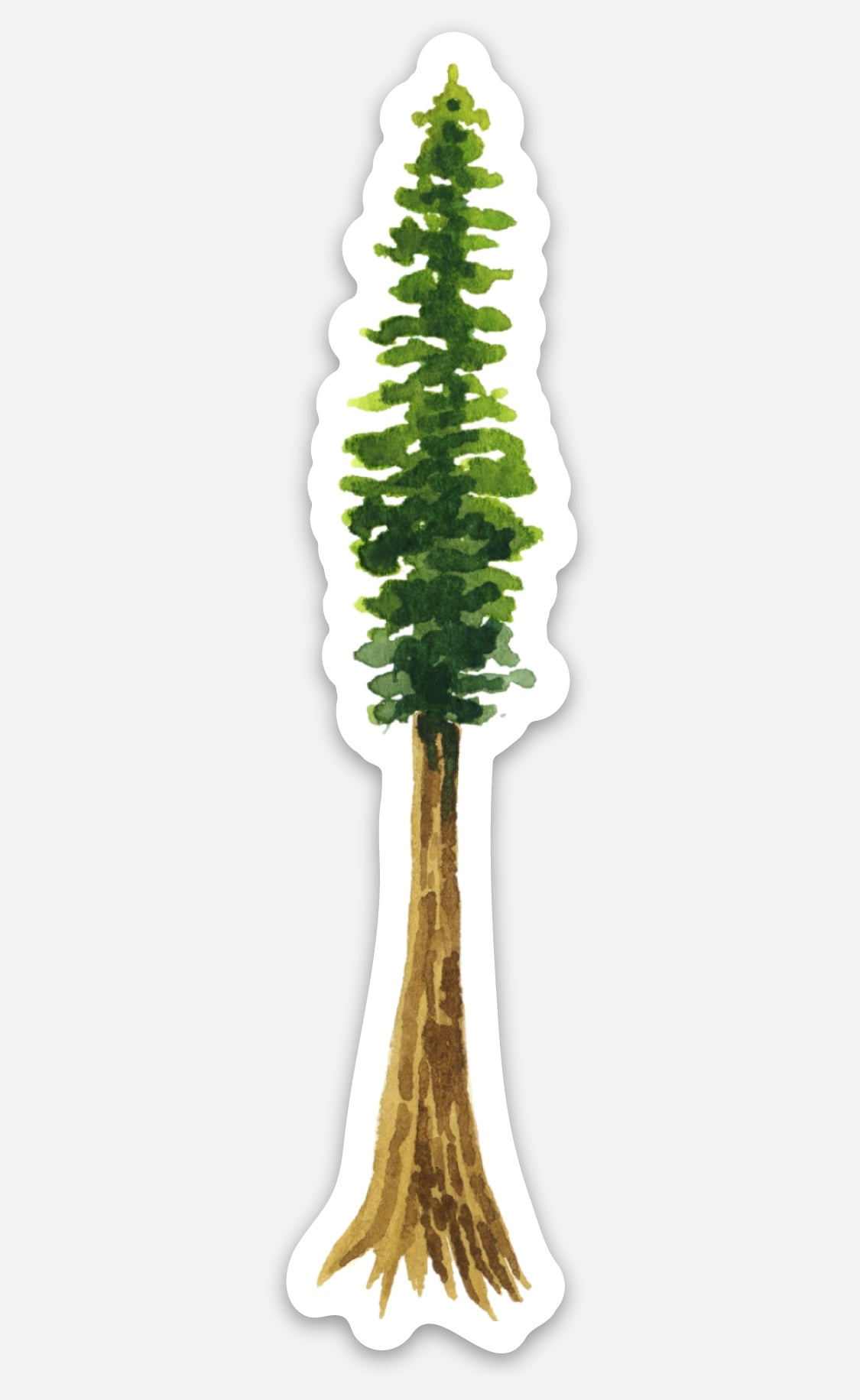 Redwood Tree Sticker