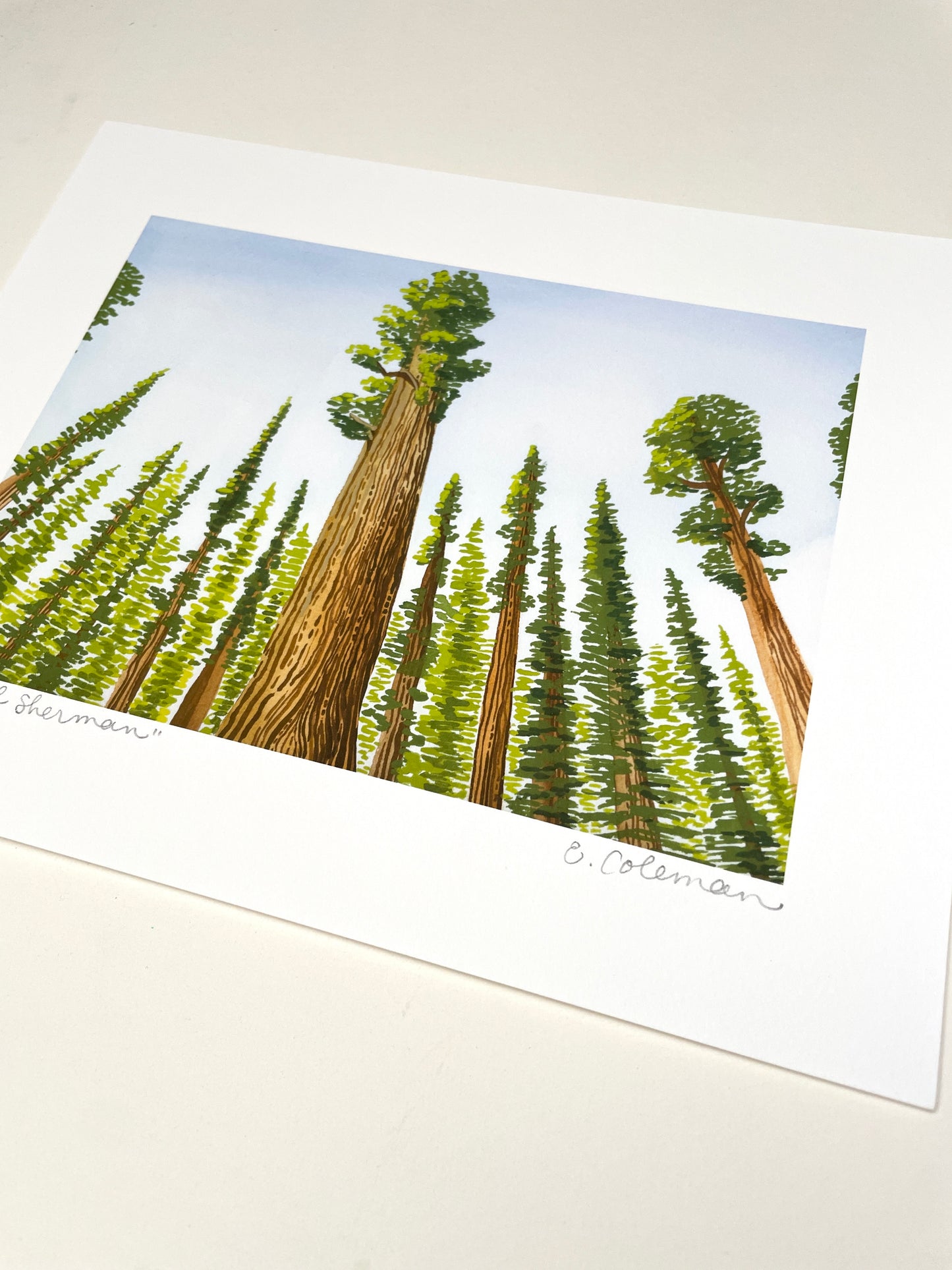 General Sherman Giant Sequoia Print