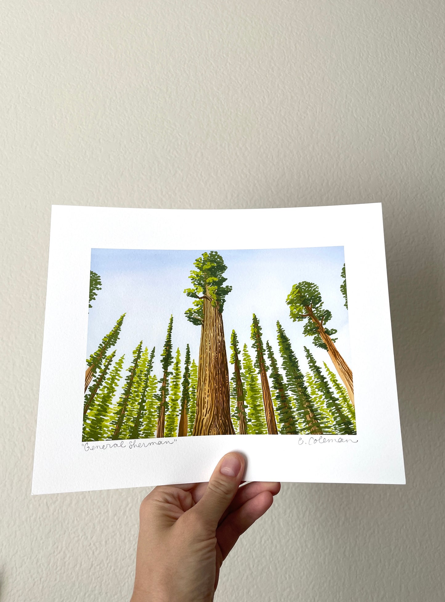 General Sherman Giant Sequoia Print