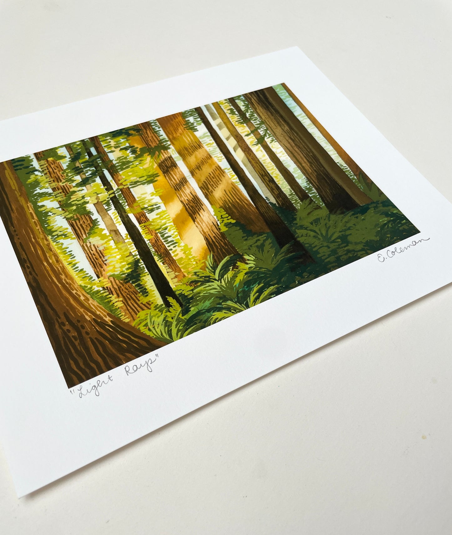 Light Rays in the Redwoods Print